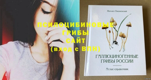 Альфа ПВП Новозыбков