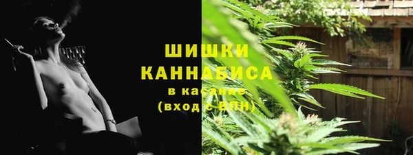 Альфа ПВП Новозыбков