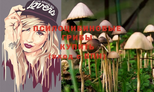 а пвп мука Няндома