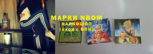 Альфа ПВП Новозыбков