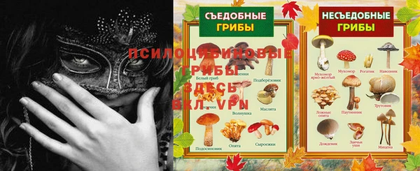 PSILOCYBIN Верхний Тагил