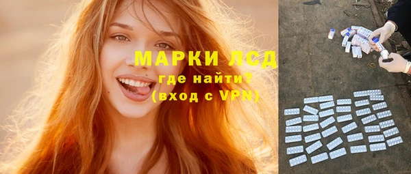 Альфа ПВП Новозыбков